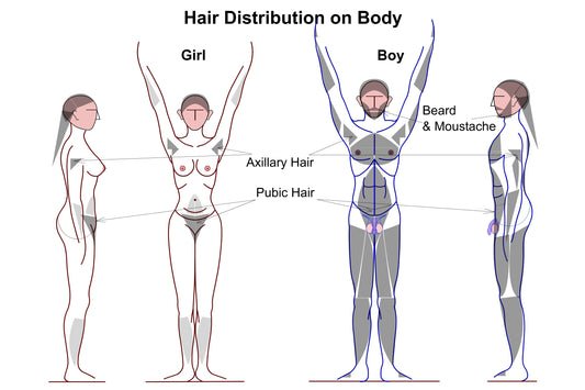 Full Body Laser Hair Removal - Female SKINFUDGE